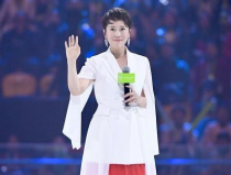 吃瓜娱乐圈四字女星,瓜田李下，星光璀璨的幕后故事