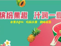 娱乐吃瓜西餐小说,西餐小说中的美食与八卦盛宴