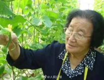 娱乐吃瓜酱夏天开空调,娱乐吃瓜酱教你如何开空调吃瓜两不误
