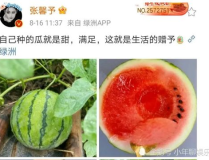 娱乐圈吃瓜哪里好吃,揭秘明星圈中美食地图