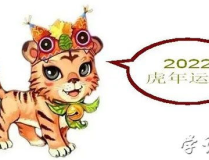 今年是什么生肖年,金蛇狂舞，智慧与机遇并存的生肖年