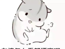 朕抱错了媳妇,朕抱错了媳妇的宫廷奇缘