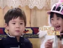 吃瓜娱乐圈八卦400页,吃瓜群众必看八卦盛宴