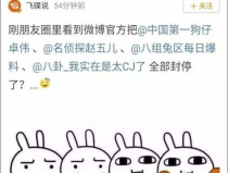 娱乐吃瓜总结,揭秘明星幕后故事