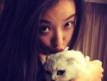 娱乐吃瓜酱虐猫小说,娱乐吃瓜酱的黑暗面揭露