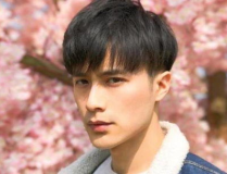 内地男明星颜值排行榜,盘点颜值排行榜上的魅力之星